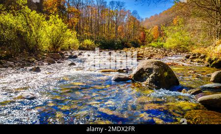 Scène d'automne près d'une crique dans la forêt nationale de Pisgah en Caroline du Nord Banque D'Images