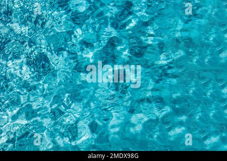 Une nouvelle piscine rectangulaire avec des bords en béton brun clair dans l'arrière-cour clôturée d'une nouvelle maison de construction Banque D'Images