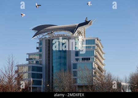 Pigeons volant dans un petit troupeau en face de l'hôtel St David, baie de Cardiff pris janvier 2023 Banque D'Images