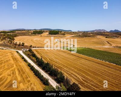 Vue aérienne des routes de terre à travers les immenses champs de céréales le matin en été. Burgos, Espagne Banque D'Images