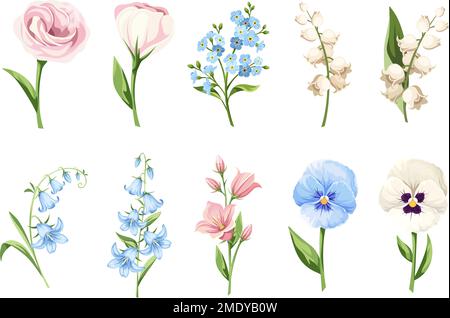 Ensemble de fleurs roses, bleues et blanches (pansy, Forget-me-not, lisianthus, lys-de-la-vallée, et harbells) isolées sur fond blanc. Vecteur illu Illustration de Vecteur