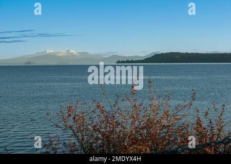 Vue sur le lac Taupo avec les montagnes enneigées du parc national de Tongariro à distance. Banque D'Images