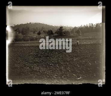 Agriculteur labourant un champ, circa 1890 Banque D'Images