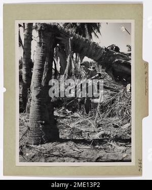 À Manille. À Manille. Un soldat américain, armé d'un bazooka, avance contre les JAP à travers des palmiers criblés et déchirés par un terrible bombardement des États-Unis Le groupe de travail de la Marine dans cette photo du jour de l'invasion de Luzon par un photographe de combat de la Garde côtière. En cliquant avec une précision semblable à celle d'une machine, les troupes du général MacArthur ont frappé les plages et ont rapidement avancé vers Manille, à environ 130 kilomètres au sud. Banque D'Images