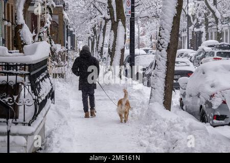 Montréal, CA - 17 décembre 2022 : homme marchant avec son chien pendant une tempête de neige Banque D'Images