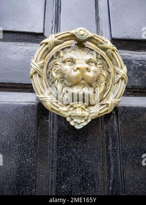 Mobilier de porte de style historique, lions ronds en laiton tête de porte circulaire sur une porte en bois noir Banque D'Images