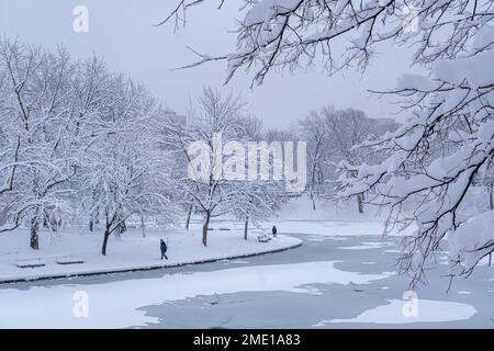 Montréal, CA - 17 décembre 2022 : parc Lafontaine pendant la tempête de neige Banque D'Images