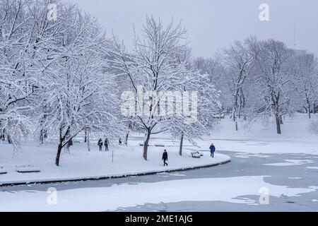 Montréal, CA - 17 décembre 2022 : parc Lafontaine pendant la tempête de neige Banque D'Images