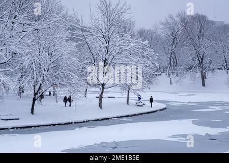 Montréal, CA - 17 décembre 2022 : parc Lafontaine pendant la tempête de neige Banque D'Images