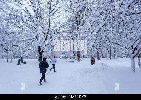 Montréal, CA - 17 décembre 2022 : parc Lafontaine pendant la tempête de neige Banque D'Images