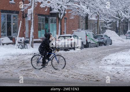 Montréal, CA, le 17 décembre 2022 : femme à vélo sur l'avenue Rachel pendant la tempête de neige Banque D'Images