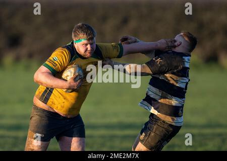 North Dorset RFC - Gillingham - Dorset - Angleterre. North Dorset Badgers et Westbury RFC. Samedi 21st janvier 2023 Banque D'Images