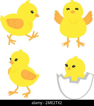 Ensemble de petits poulets mignons dans différentes poses. Poussins jaunes dessinés à la main isolés sur blanc. Illustration vectorielle. Illustration de Vecteur