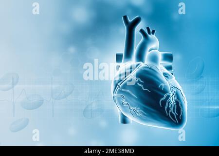 Illustration du rendu cœur humain avec vaisseaux sanguins 3D avec espace de copie. Système cardiovasculaire, anatomie, médecine et santé, biologie, médecine, s Banque D'Images