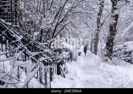 Montréal, Canada - 17 décembre 2022 : voitures couvertes de neige pendant la tempête de neige. Banque D'Images