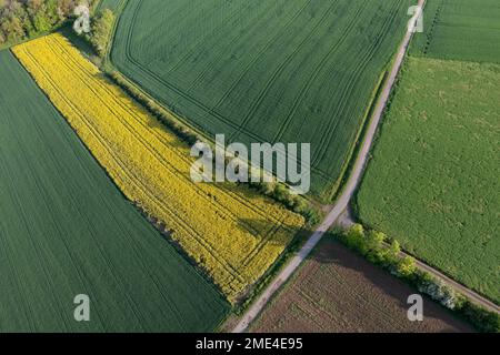 Allemagne, Bavière, vue aérienne de la route de terre s'étendant entre les champs au printemps Banque D'Images