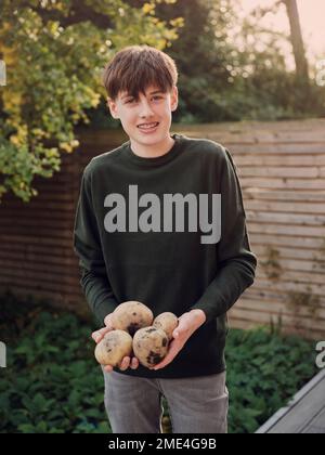 Garçon debout dans le jardin avec des pommes de terre fraîchement dévissées Banque D'Images