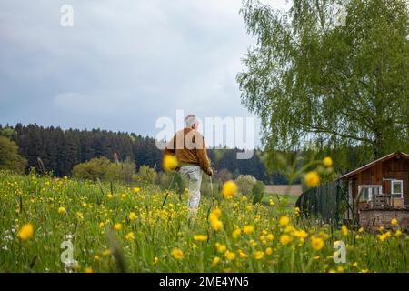 Homme senior debout au milieu de fleurs jaunes sur la prairie sous le ciel Banque D'Images