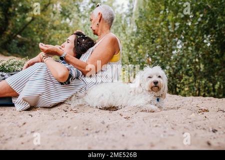 Amis assis sur le sable en compagnie d'un chien dans le parc Banque D'Images