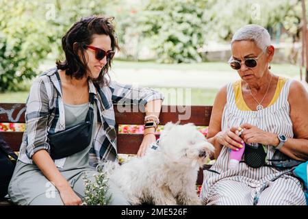 Shih Tzu assis parmi les femmes sur le banc dans le parc Banque D'Images