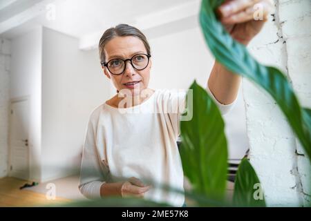 Femme d'affaires mûre touchant la feuille de plante dans le bureau Banque D'Images