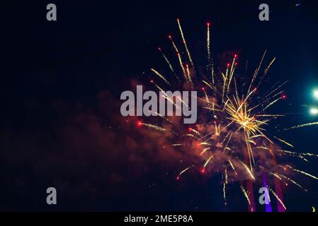 Magnifique feu d'artifice multicolore sur fond de ciel nocturne. Banque D'Images