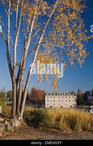 Nouveau moulin sur le site historique de l'Ile des Moulins encadré par Betula - bouleau en automne, Vieux Terrebonne, Lanaudière, Québec, Canada. Banque D'Images