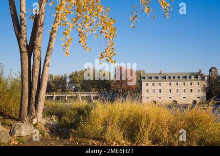 Nouveau moulin sur le site historique de l'Ile des Moulins encadré par Betula - bouleau en automne, Vieux Terrebonne, Lanaudière, Québec, Canada. Banque D'Images