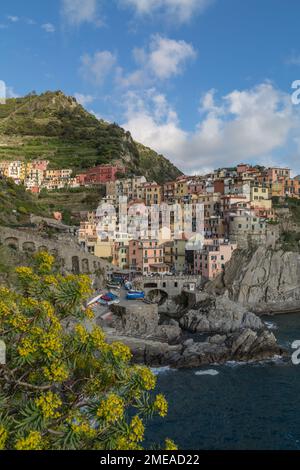 Vue verticale des bâtiments colorés du village côtier falsifié de Manarola au printemps, Cinque Terre, Italie. Banque D'Images