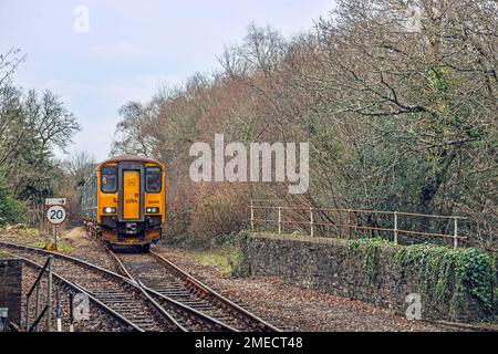 Un train GWR Tamar Valley qui arrive à la gare de Bere Alston sur la ligne de branchement de Gunnislake. Une partie des lignes de Tamar Valley qui traverse Banque D'Images