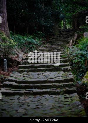 Kumano Old Road, région de Kinki, Japon Banque D'Images