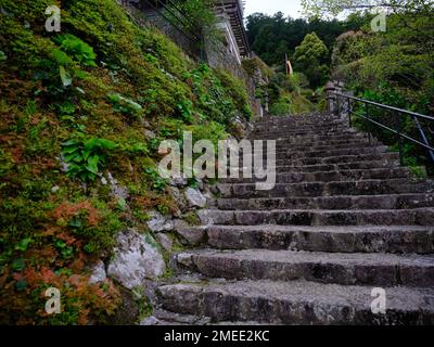 Kumano Old Road, région de Kinki, Japon Banque D'Images