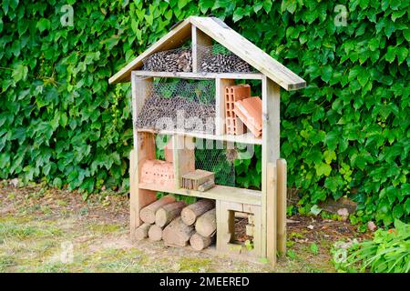 la maison des insectes fait maison dans le jardin de la maison donne la protection et l'aide de nid aux abeilles et aux insectes Banque D'Images