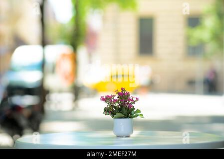 Fleurs sur une table de café de rue Banque D'Images