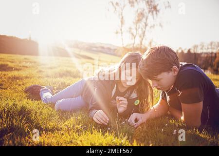 Frère et sœur, frères et sœurs, garçons et filles, enfants au coucher du soleil, sur une pelouse, herbe, observation des fleurs et de la nature. Partage, agréable moment de famille Banque D'Images