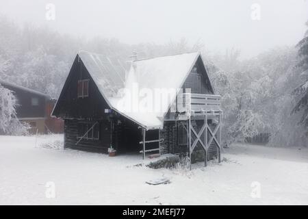 Hutte de gel en hiver dans la forêt brumeuse Banque D'Images