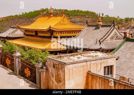 Vue sur les toits dorés du complexe du monastère tibétain Ta'er Kumbum près de Xining, en Chine Banque D'Images