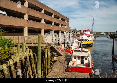 Vue sur les bateaux à homard dans le port de Portland, Casco Bay, Maine, États-Unis. Banque D'Images