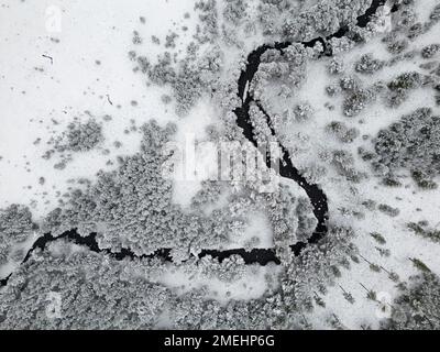 Vue aérienne de la rivière Luineag dans la forêt enneigée de Rothiemurchus, parc national de Cairngorms, Scottish Highlands, Écosse, Royaume-Uni Banque D'Images