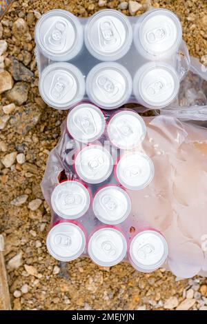 Vue de dessus, boîtes de boissons en aluminium dans boîte carton, emballage avec thé, alcool en conserve ou boisson sucrée, jus avec bulles, boissons non alcoolisées. Banque D'Images