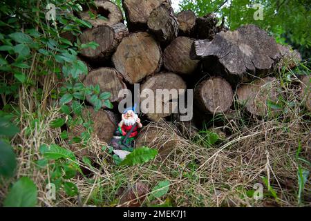 Jardin drôle gnome dans un jardin vert. Banque D'Images