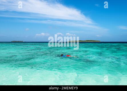 Homme snorkeling dans l'océan Indien, Atoll Baa, Maldives Banque D'Images