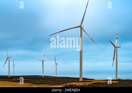 Les moulins à vent de wind farm, région de Coquimbo, Chili Banque D'Images