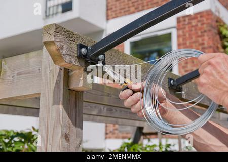 Fabrication d'une verrière de patio DIY - fixation du fil à travers un oeil de vigne sur une pergola en bois à l'aide d'une pince Banque D'Images