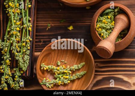 Verbascum nigrum, mulléine noire ou mulléine foncée dans les mortiers et les pilons à usage pharmaceutique. Banque D'Images