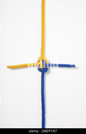 Hunter's Bend (Rigger's Bend), nœud noué avec deux cordes en bleu et jaune Banque D'Images