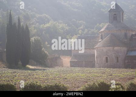 France, Vaucluse, Abbaye de Sénanque, champs de lavande en face Banque D'Images