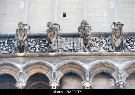 France, Bourgogne, Côte d'Or, Dijon, Cathédrale Saint-Benigne de Dijon, gargouilles Banque D'Images