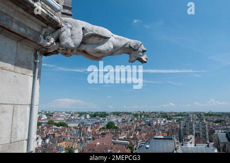 France, Bourgogne, Côte d'Or, Dijon, Palais des Ducs de Bourgogne, gargouille Banque D'Images