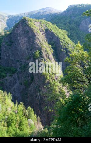 France, Hautes-Alpes, Parc National des Ecrins (Parc National des Ecrins) Banque D'Images